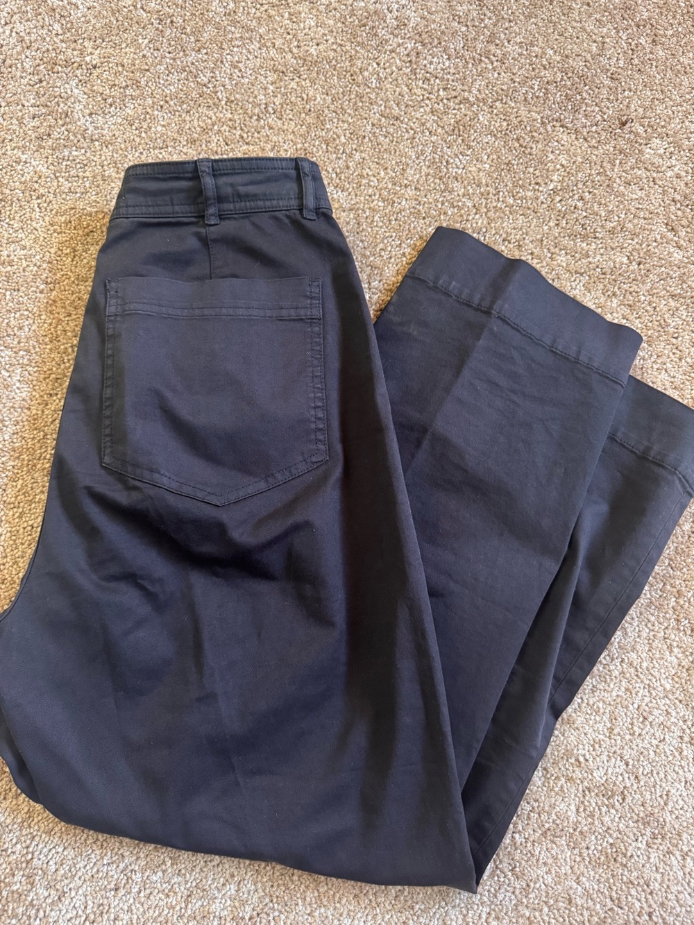 Everlane women’s black pants